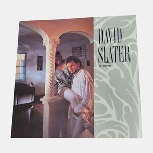 David Slater Be With‎ Me 12x12 Double Sided Flat Promo Poster VTG 1989 Capitol